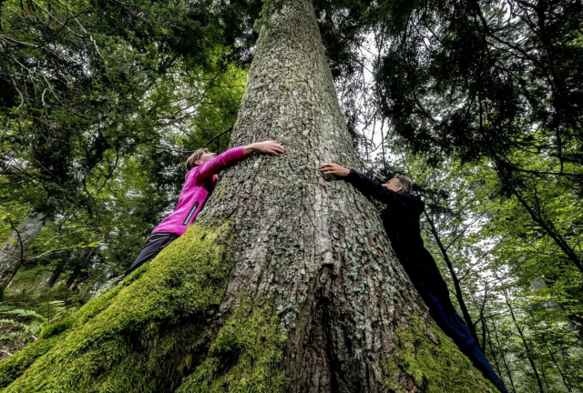 09-Mezzano-Albeti-Giganti_ph-www.orlerimages.com_