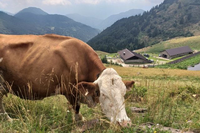 03-Malga-Meleit
