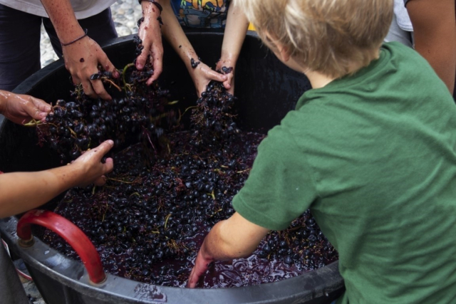 06-Losine-Scior-del-Torcol_ph.-Grandangolo-per-DMO