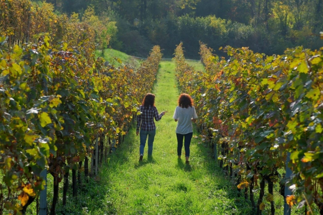 09-Strada-del-Vino-e-dei-Sapori-Colli-dei-Longobardi