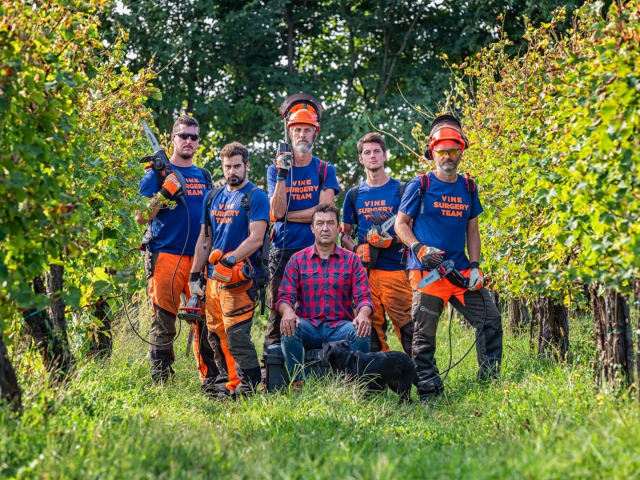 02_SS_Team_Dendrochirurgia