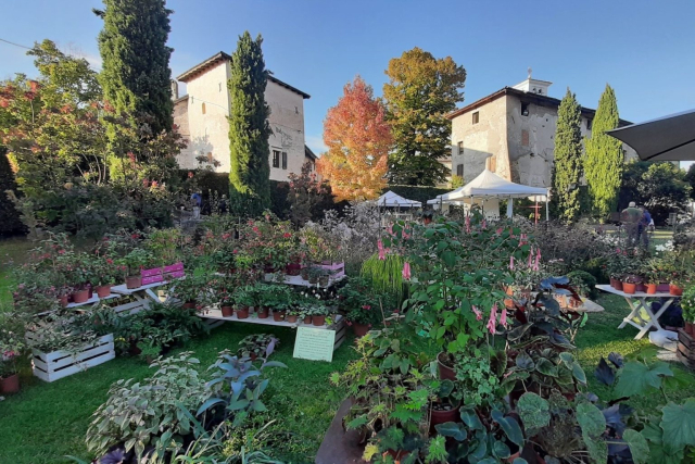 04-Magici-Intrecci-Autunnali