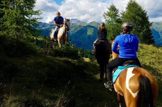 05-Zoncolan_cavalli