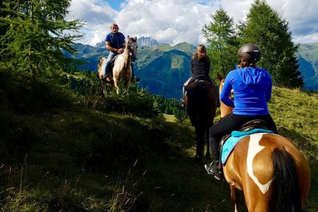 05-Zoncolan_cavalli