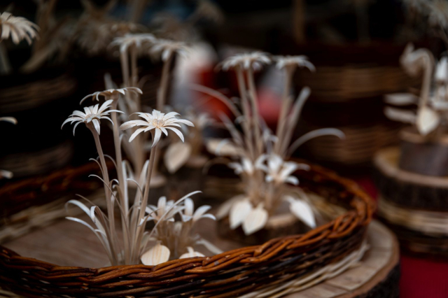 Magia-del-legno_ph-Denis-Blarasin2