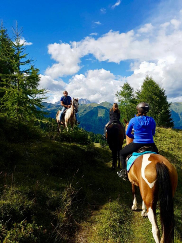 05-Zoncolan_cavalli 05-Zoncolan_cavalli