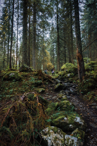 06-Passeggiata 06-Passeggiata