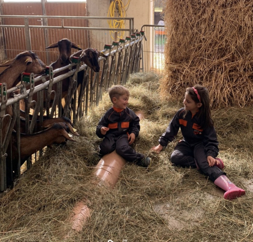 07-Sutrio-Fattoria-diffusa 07-Sutrio-Fattoria-diffusa