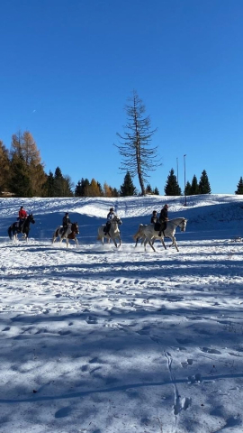 03-Trekking-a-cavallo-sulla-neve-Monte-Zoncolan_Randis-Ranch