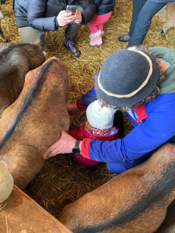 05-MUUUUNGI-LA-MUCCA-O-LA-CAPRA-EXPERIENCE-A-RAVASCELTTO-