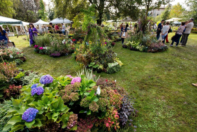 03 Magici Intrecci Autunnali