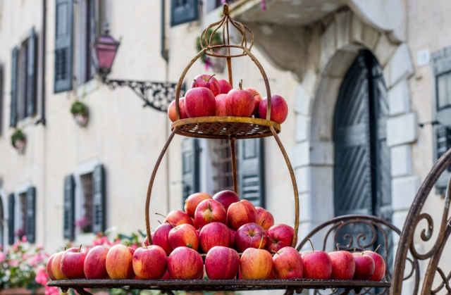 02 Magici Intrecci Autunnali