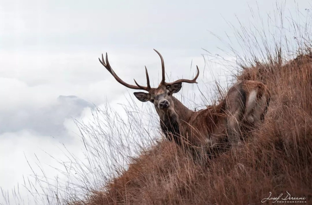 04 Visit Zoncolan_ph Josef Dereani