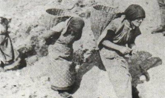 4 Maria Plozner Mentil