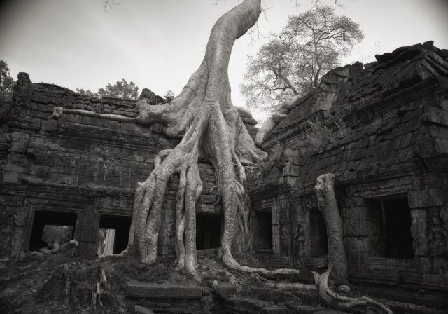 Kenro Izu_Angkor #26, Cambodia_1993