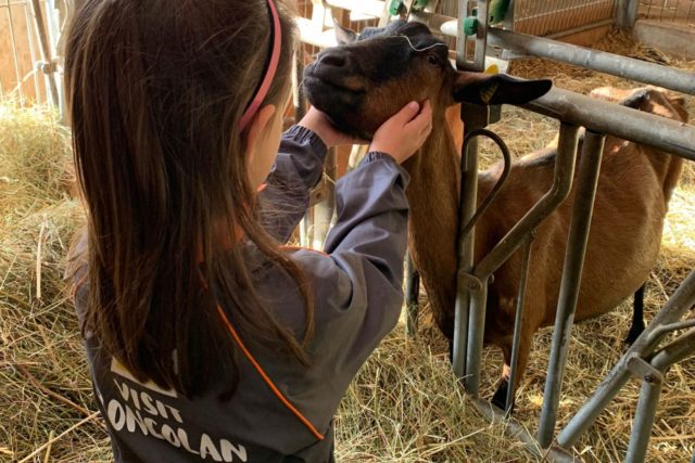 05 Visit Zoncolan_Sutrio_Fattoria diffusa