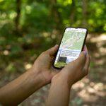 Camminare giocando: Paluzza e Sutrio a misura di famiglia (e camminatori curiosi). Si svelano i percorsi narrativi che uniscono fiabe, natura e movimento