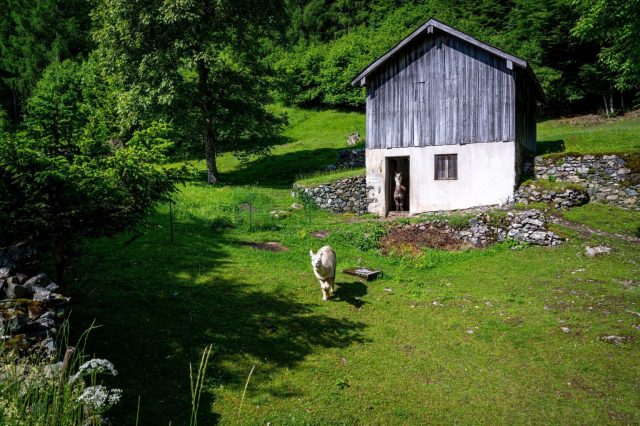 03 Stavoli Ramazas Cleulis_ph Denis Blarasin