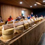 Come produrre formaggi di capra? Un corso a Sutrio all’interno del progetto Green Carnia Fest. Formaggi di malga: all’Asta di “Formandi” battute 21 partite