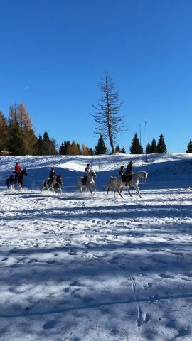 03 Trekking a cavallo sulla neve_Monte Zoncolan_Randis Ranch