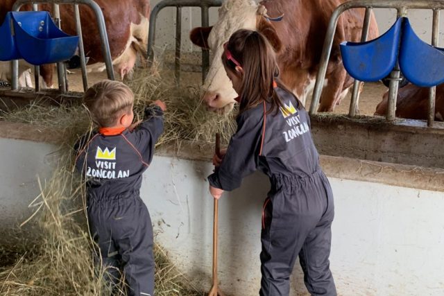 05 Sutrio_Fattoria diffusa