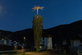 Mezzano di Primiero_Albero delle radici_ph Dolomites Web (1)