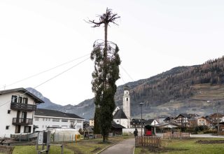Mezzano di Primiero_Albero delle radici_ph Dolomites Web (2)