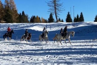 03 Visit Zoncolan_Trekking a cavallo sulla neve_Monte Zoncolan_Randis Ranch