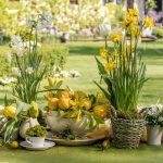 “Magici Intrecci Primaverili” al Castello di Strassoldo di Sopra (UD) – 10, 11, 12 aprile 2026