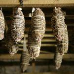 26 aprile a Sutrio, fra i monti della Carnia: “Fums, profums e salums”: protagonisti i prodotti affumicati della montagna. Sfida all’ultima fetta per il Concorso per il miglior salame affumicato del FVG