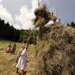 Domenica 19 luglio 2026 in Carnia: “Fasjn la mede” – A Sutrio festa della fienagione nei prati dello Zoncolan