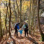 Settembre in Carnia, tra natura, e-bike e i segreti del bosco